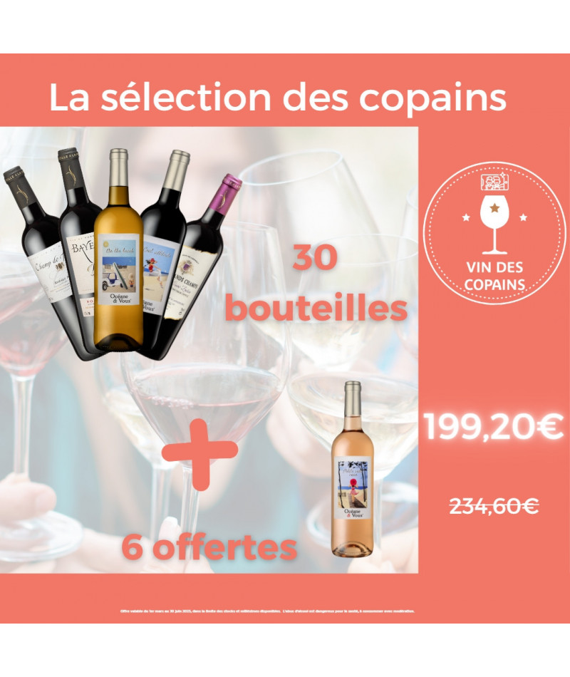 La sélection des copains : 30 bouteilles + 6 offertes pour 299,20€