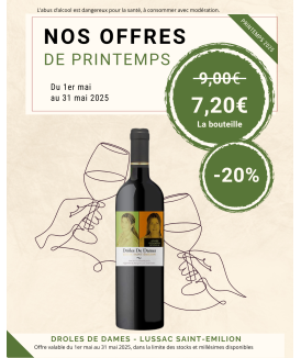 Drôles de Dames