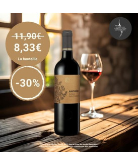 Anthèse - Lussac Saint-Emilion