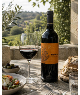 Anthèse - Côtes de Bordeaux