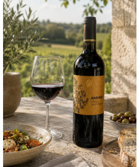 Anthèse - Lussac Saint-Emilion